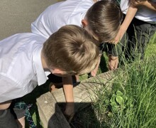 Screenshot 2025 06 16 at 17.01.20