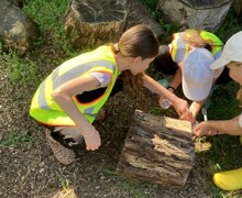 C1E247F2 5C38 4D96 BBC0 FCF15C2C8348 1 105 c