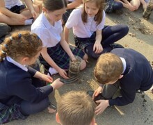 01B1FAFE 49D5 417E A696 115FAAA79C61 1 105 c