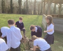 6200E075 29E5 4FCA AF88 1EA96BF26CDE 1 105 c