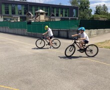 IMG 0665
